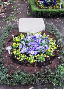 Urnengrab mit Bepflanzung im Frühling