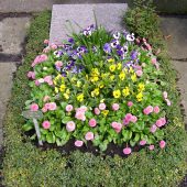 Urnengrab mit Bepflanzung im Frühling