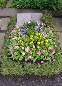 Urnengrab mit Bepflanzung im Frühling