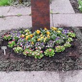 Urnengrab mit Bepflanzung im Frühling