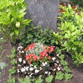 Urnengrab mit Sommerbepflanzung