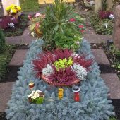 Grababdeckung mit Blautanne