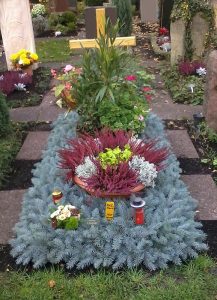 Grababdeckung mit Blautanne