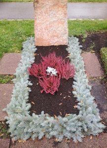 Grabrand mit Blautanne