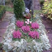 Grababdeckung mit Nordmanntanne