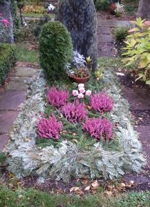 Grababdeckung mit Nordmanntanne