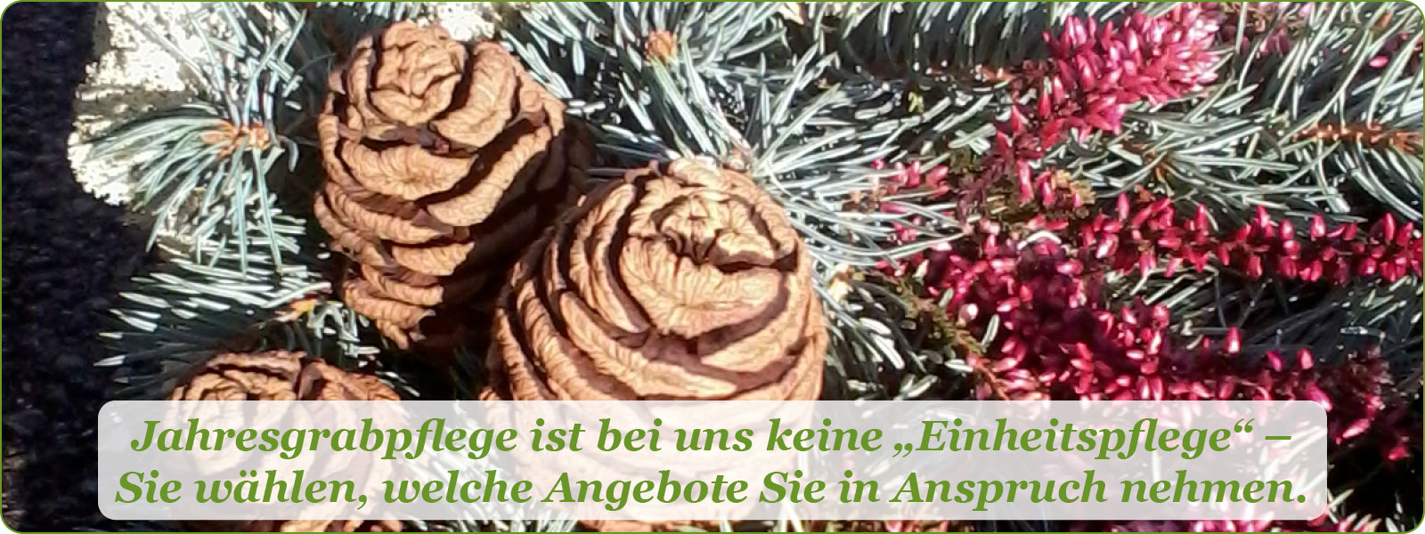 Jahresgrabpflege